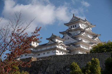 Sonbahar sezonunda Himeji Kalesi, Japonya 