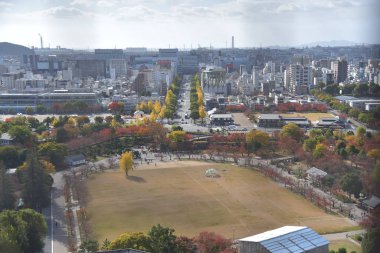 Japonya 'daki Himeji şehrinin manzarası.