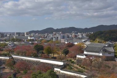 Japonya 'daki Himeji şehrinin manzarası.