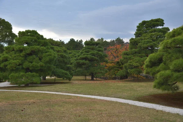 View Ninomaru Garden Grounds Nijo Castle — Stock Photo, Image