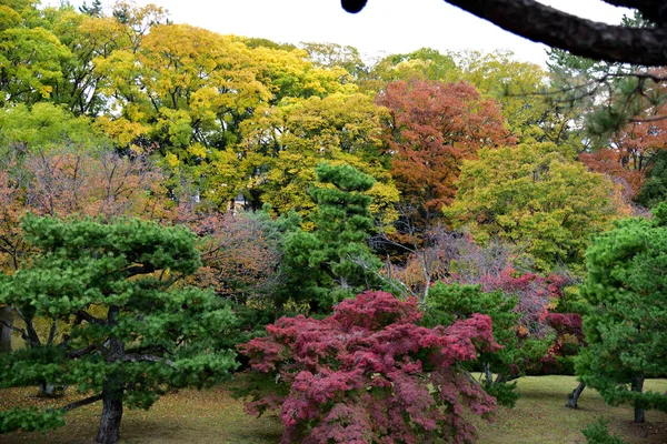 Pohled Ninomaru Garden Areálu Hradu Nijo — Stock fotografie