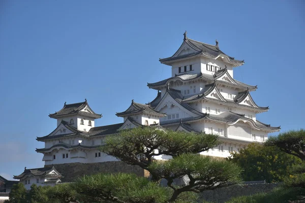 Sonbahar sezonunda Himeji Kalesi, Japonya 
