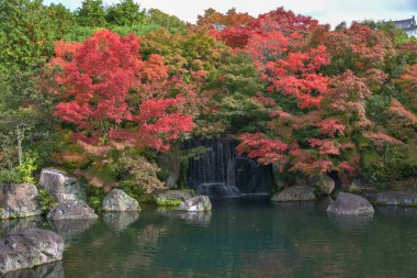 Himeji Kalesi yakınlarındaki Koko-En bahçesinde güzel ağaçlar ve bitkiler süslenmiştir.