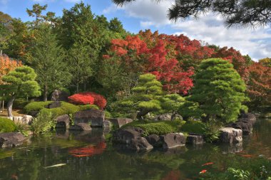 Himeji Kalesi yakınlarındaki Koko-En bahçesinde güzel ağaçlar ve bitkiler süslenmiştir.