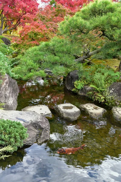 Beaux Arbres Plantes Sont Décorés Dans Jardin Koko Près Château — Photo