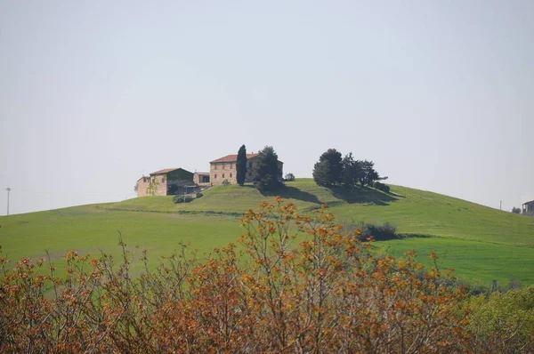 Gyönyörű Táj Val Orcia Olaszország — Stock Fotó