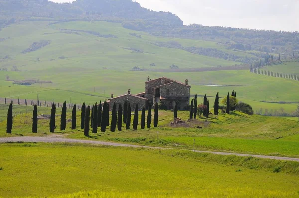 Prachtig Landschap Van Val Orcia Italië — Stockfoto