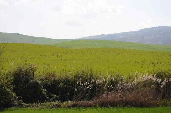 Piękny Krajobraz Val Orcia Włochy — Zdjęcie stockowe