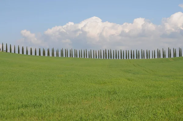 Piękny Krajobraz Val Orcia Włochy — Zdjęcie stockowe