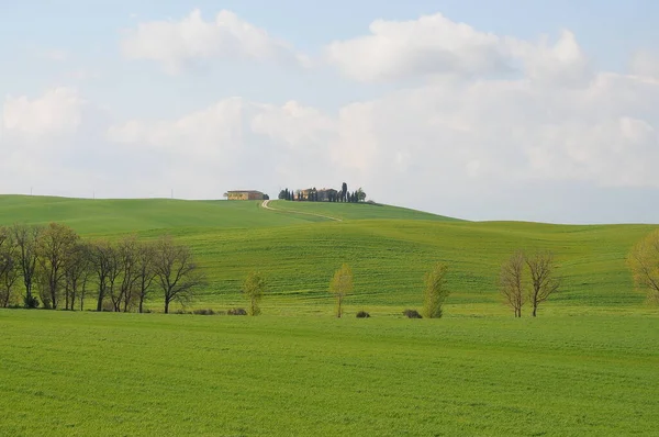 Piękny Krajobraz Val Orcia Włochy — Zdjęcie stockowe