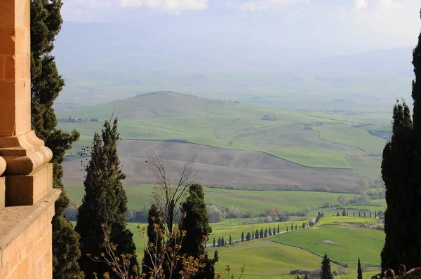 Beau Paysage Val Orcia Italie — Photo