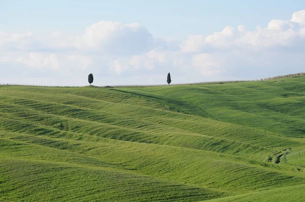 Piękny Krajobraz Val Orcia Włochy — Zdjęcie stockowe