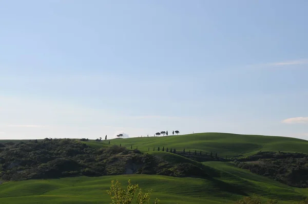 Gyönyörű Táj Val Orcia Olaszország — Stock Fotó