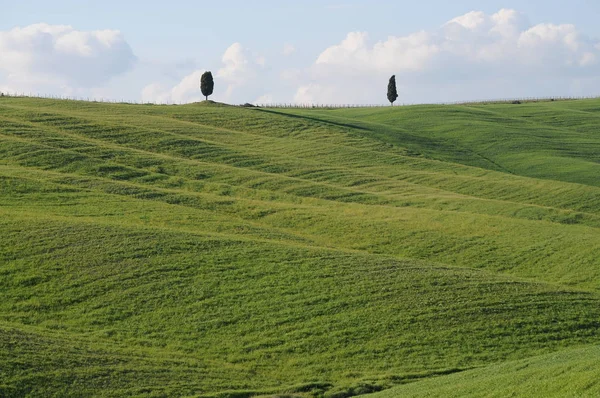 Piękny Krajobraz Val Orcia Włochy — Zdjęcie stockowe