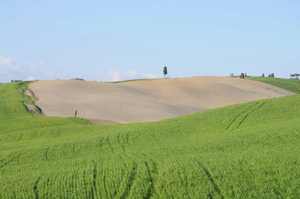 Piękny Krajobraz Val Orcia Włochy — Zdjęcie stockowe