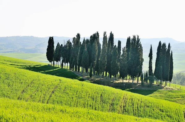 Όμορφο Τοπίο Της Val Orcia Ιταλία — Φωτογραφία Αρχείου