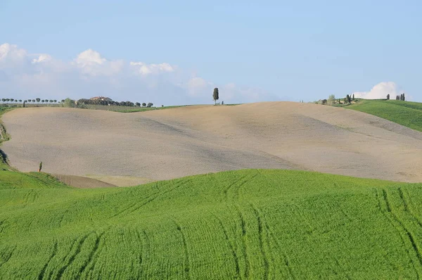 Beautiful Landscape Val Orcia Italy — Stock Photo, Image