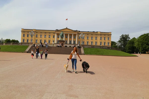 Kungliga Slottet Oslo Norges Huvudstad Människor Turister Går Slottsparken Sommardag — Stockfoto