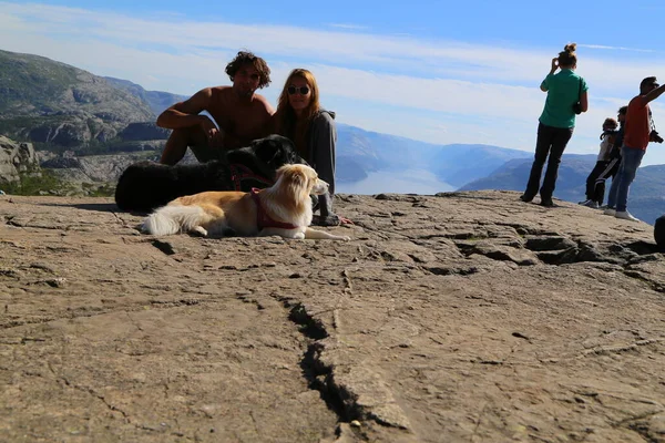 Köpekli Çift Preikestolen Oturuyor — Stok fotoğraf