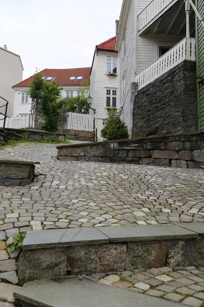 Bergen Kleurrijke Huizen Een Bewolkte Dag — Stockfoto