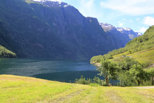 Naeroyfjord Idyllinen Vuono Maisema Heijastus Laiva Lautta Norja Skandaali — kuvapankkivalokuva