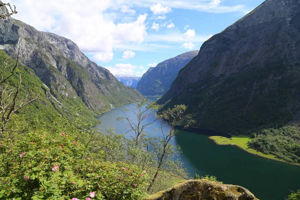 Naeroyfjord Idílico Fiordo Paisaje Reflexión Ferry Noruega Scandinavia — Foto de Stock