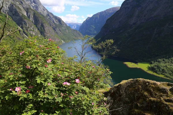 Naeroyfjord Idílico Fiordo Paisaje Reflexión Ferry Noruega Scandinavia — Foto de Stock