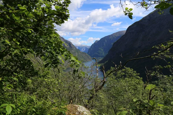 Naeroyfjord Idílico Fiordo Paisaje Reflexión Ferry Noruega Scandinavia — Foto de Stock