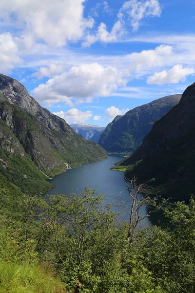 Naeroyfjord Idilli Fjord Tájkép Tükröződés Komp Norvégia Skandinávia — Stock Fotó