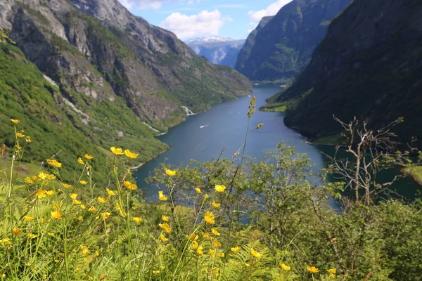 Naeroyfjord Idylický Fjord Krajina Odraz Loď Trajekt Norsko Skandinávie — Stock fotografie