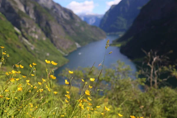 Naeroyfjord Idílico Fiordo Paisaje Reflexión Ferry Noruega Scandinavia —  Fotos de Stock