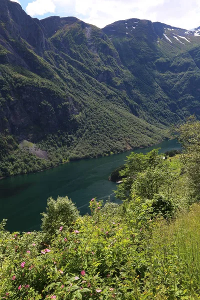 Naeroyfjord Idyllic Fjord Landscape Reflection Ship Ferry Norway Scandinavia — 图库照片