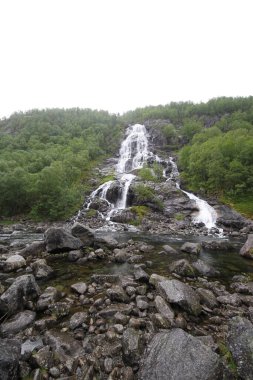 Güzel Doğa Norveç Doğal Arazisi