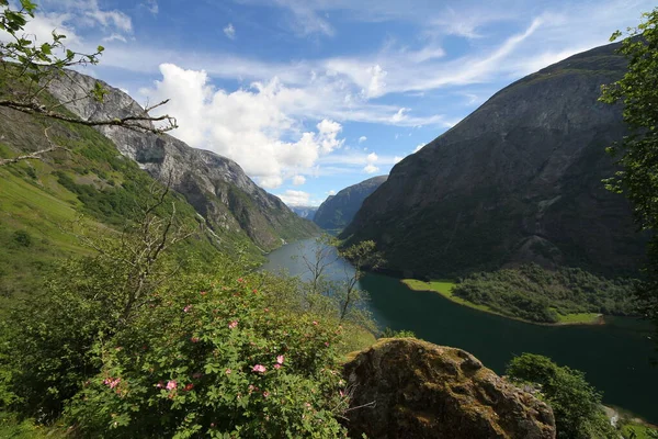 Naeroyfjord Idylliczne Odbicie Krajobrazu Fiordu Prom Norwegia Skandynawia — Zdjęcie stockowe