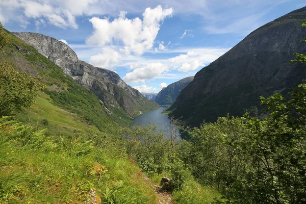 Naeroyfjord Idílico Fiordo Paisaje Reflexión Ferry Noruega Scandinavia — Foto de Stock