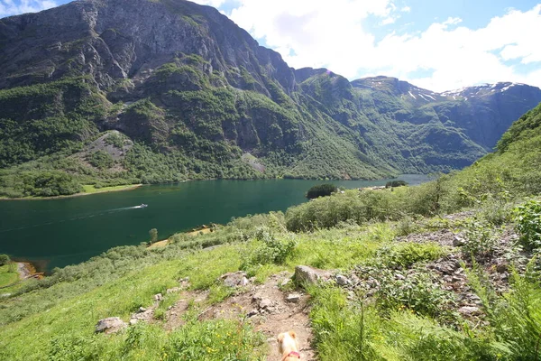 Naeroyfjord Idilli Fjord Tájkép Tükröződés Komp Norvégia Skandinávia — Stock Fotó