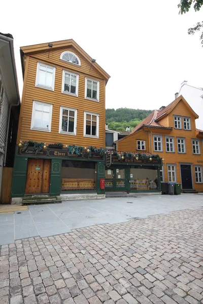 Bergen Kleurrijke Huizen Een Bewolkte Dag Stockafbeelding