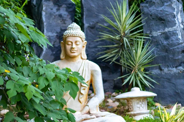Front view of a Buddha statue with tree branches in the foregoun — Stock Photo, Image