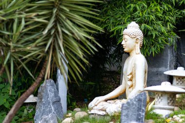 Medita 'da ağaçlı ve taşlı Gautam Buddha heykelinin geniş açılı görüntüsü