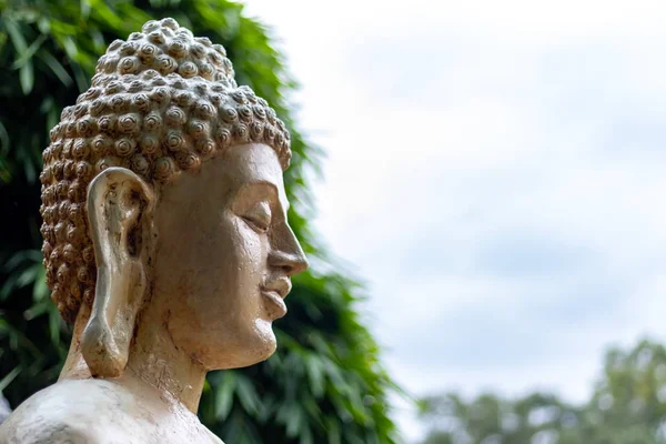 Düşük açılı, Mahatma Buddha heykelinin bambuyla yakın plan fotoğrafı. — Stok fotoğraf