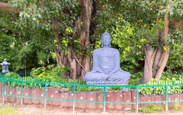 Wide shot of a Grey Buddha statue sitting under a tree in medita — Stock Photo, Image