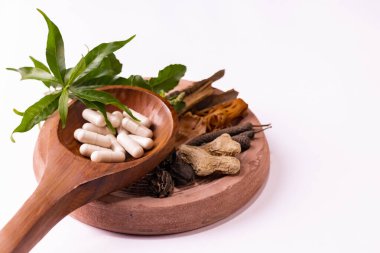 Doğal tıp konsepti. Tarçın, kuru zencefil, siyah kakule, biber gazı, uzun biber ve ayurvedik uyuşturucular tahta kaşıkta yeşil yapraklı beyaz arka planda kum taşı.