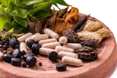 Beyaz arkaplanlı bir taşın üzerinde tüm topraktan çıkan bitkiler, baharatlar, haplar ve kapsüllerden oluşan makro bir çekim. Ayurvedic tıp konsepti