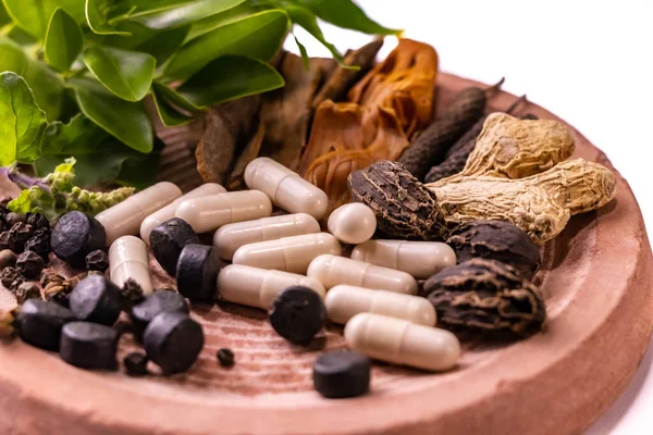 Beyaz arkaplanlı bir taşın üzerinde tüm topraktan çıkan bitkiler, baharatlar, haplar ve kapsüllerden oluşan makro bir çekim. Ayurvedic tıp konsepti