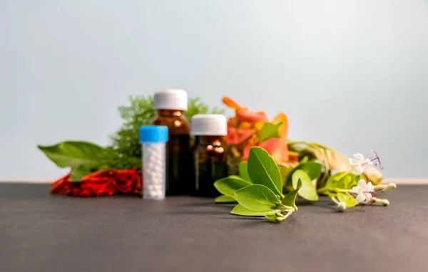 Beautiful Arraangement Green Herbs Flowers Homeopathy Medicines Bottles Shot Low — Stock Photo, Image