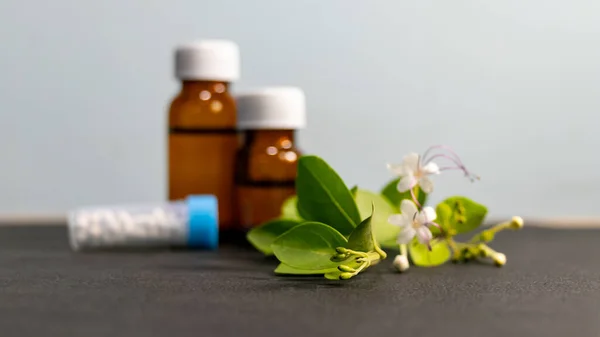 Low Angle Close Shot Green Herb White Flowers Homeopathy Medicine — Stock Photo, Image