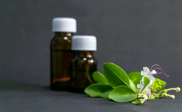 Lage Hoek Close Zicht Amberkleurige Glazen Flessen Met Homeopathie Vloeistoffen — Stockfoto