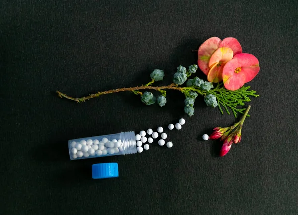Siyah yüzeye dağılmış Homeopati haplarının güzel bir çiçek ve para bitkisiyle yakın plan çekimi.