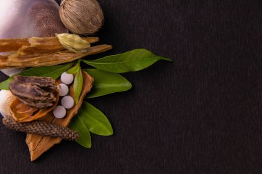 Ayurvedic ilaçlar, baharatlar, deniz kabuğu ve siyah arka planda yeşil yapraklar. Ayurvedik ve alternatif tıp kavramı