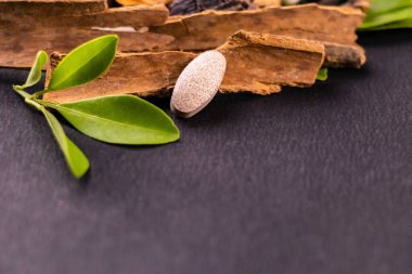 Arka planda tarçın çubuklarına karşı bir bitkisel tabletin ön plan makrosu ve siyah bir ön planda fotokopi alanı var. Doğal çözüm konsepti